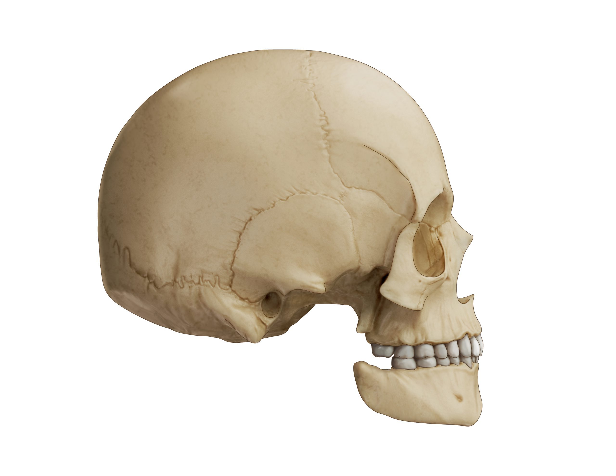 Child with hemifacial microsomia