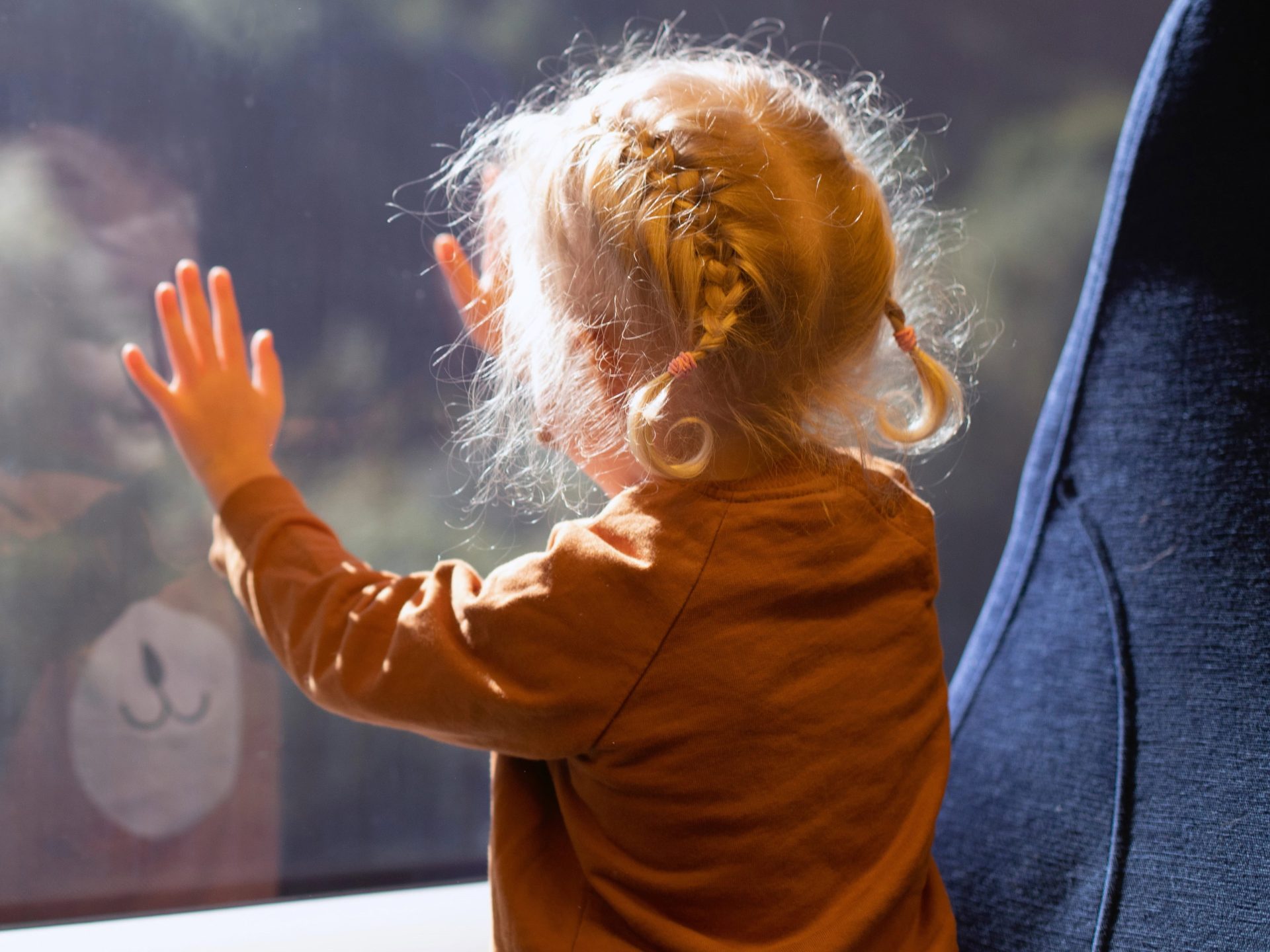 Child with braided hair looking out window, enjoying the view outside.