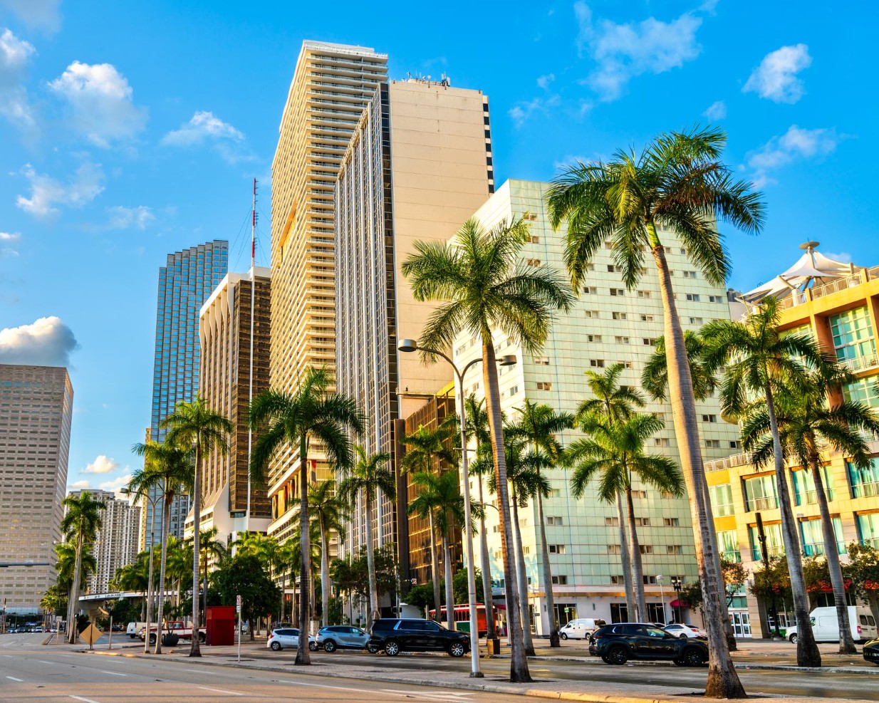 Miami cityscape with tall buildings and palm trees under a blue sky.