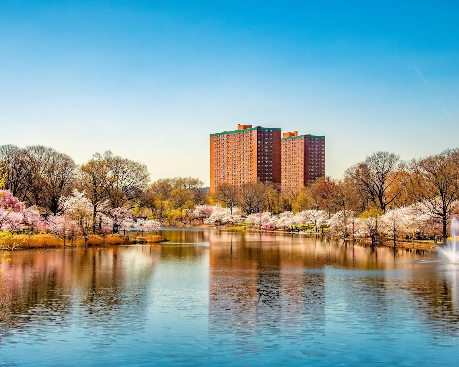 Scenic view of a lake with cherry blossoms and a tall building in New Jersey.